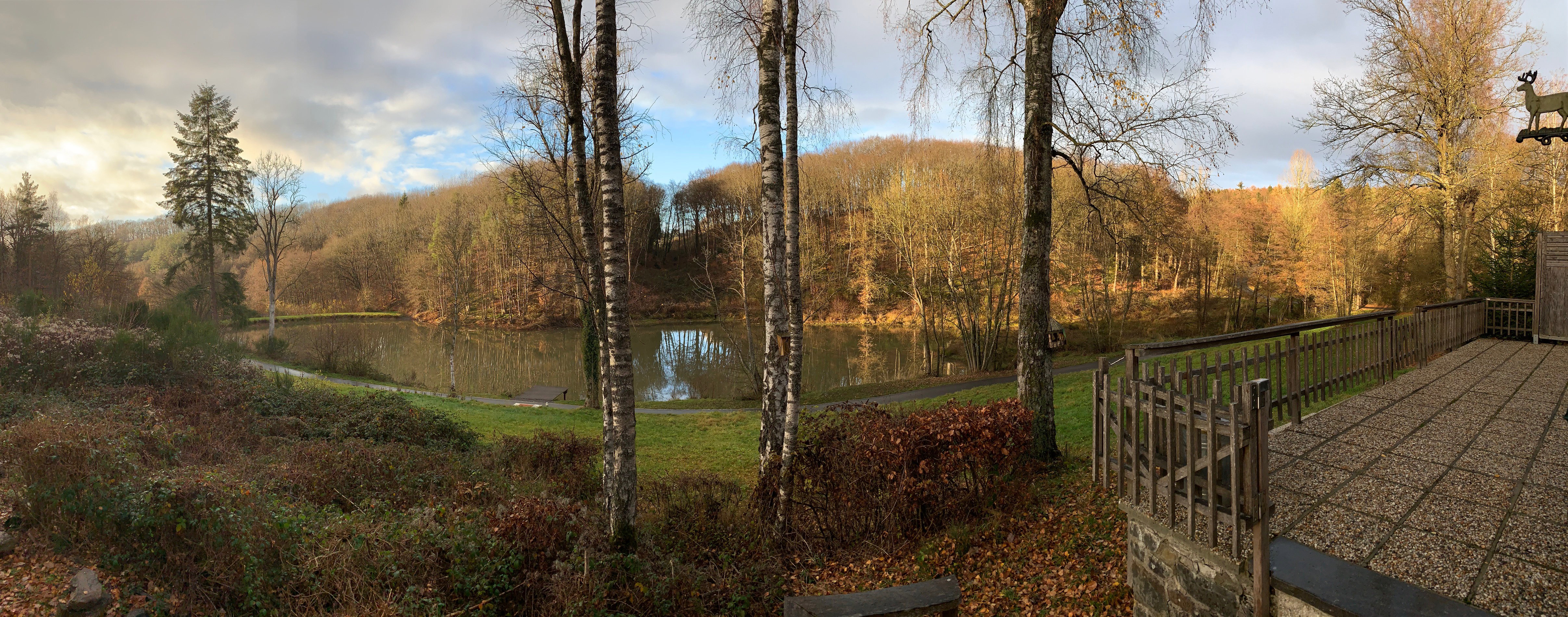Maison nature à Durbuy