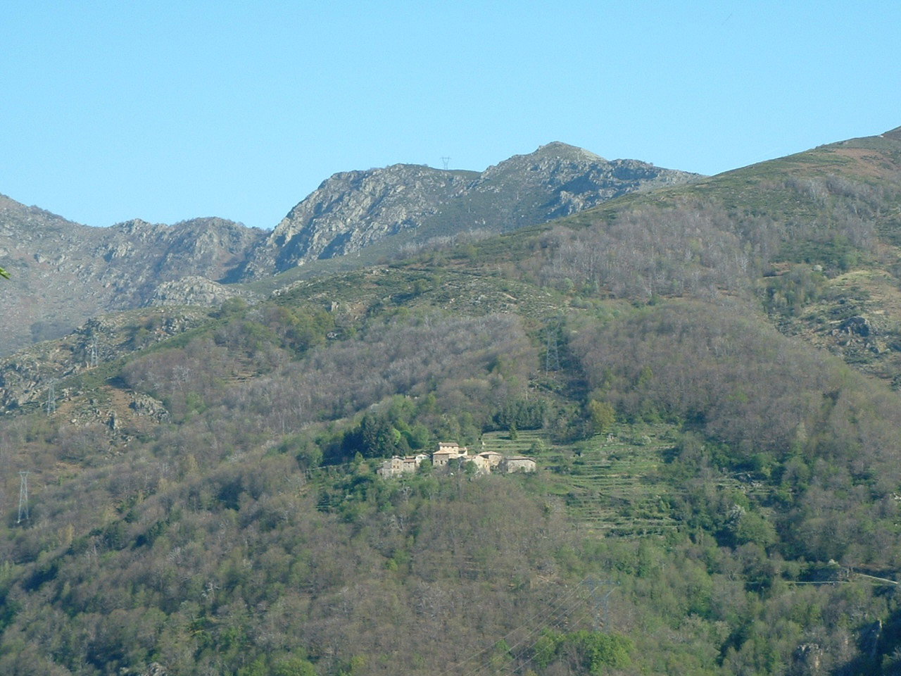 - image: 14