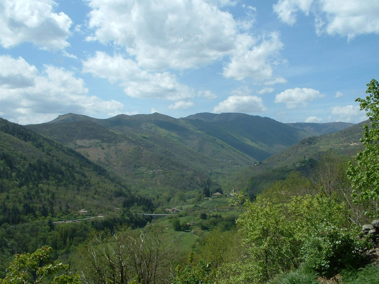 - image: 16