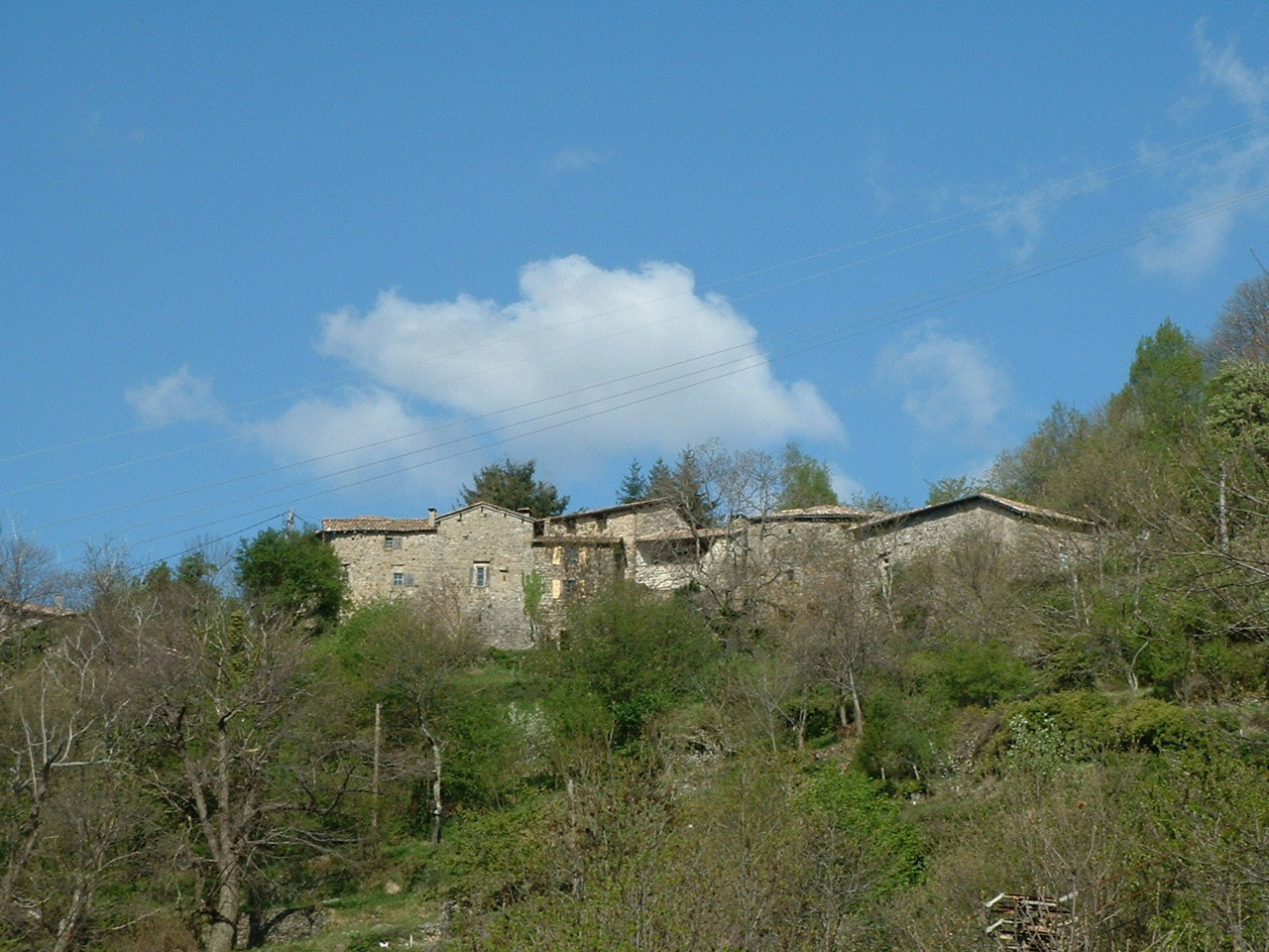 - image: 15