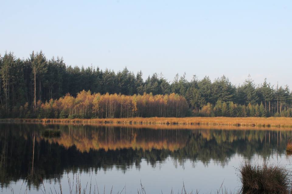 - image: 16