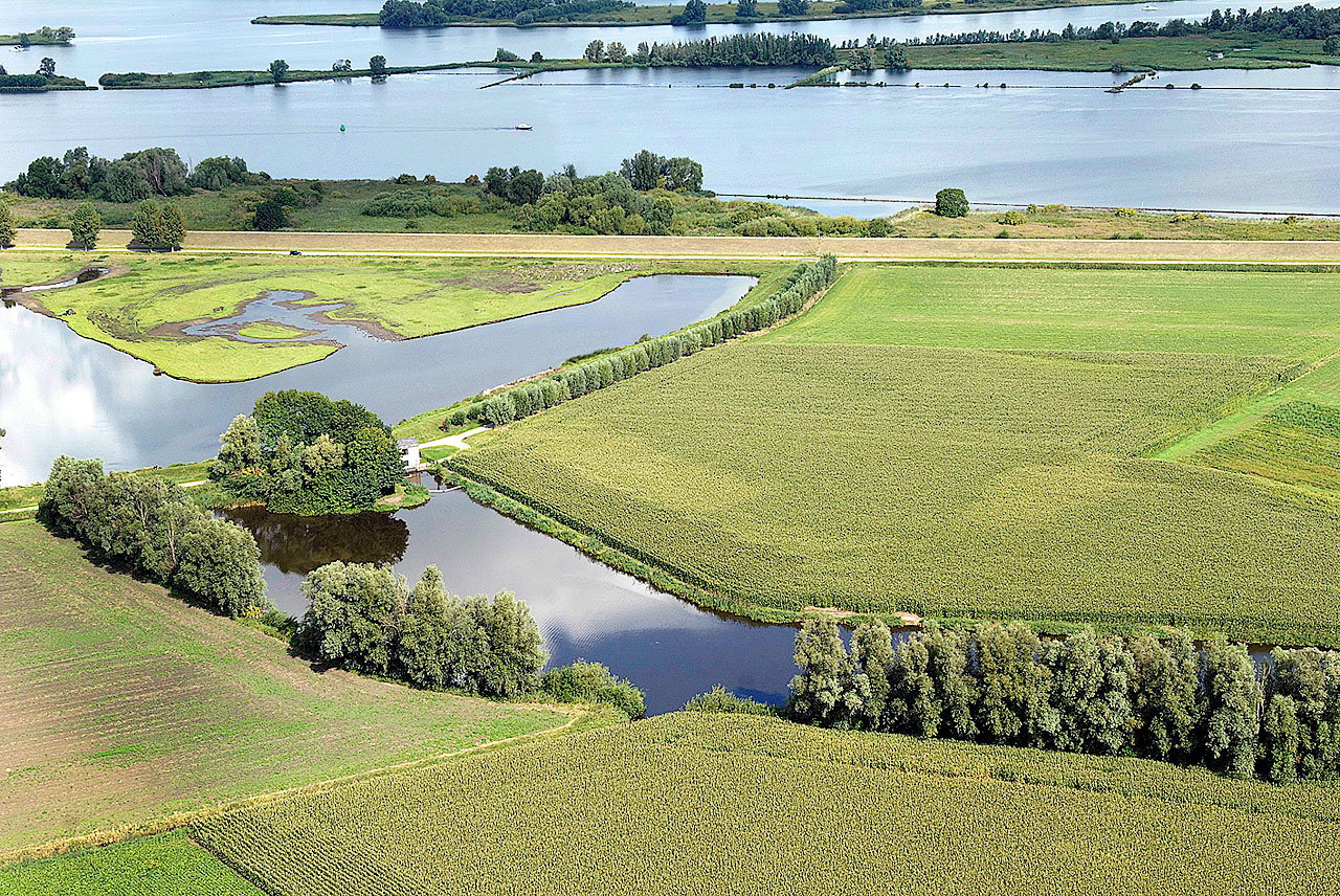 Natuurhuisje in Drimmelen