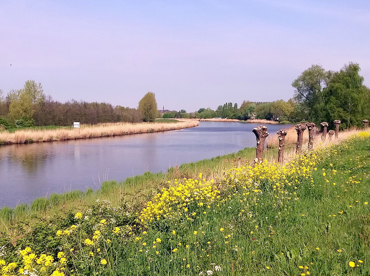 Natuurhuisje in Drimmelen