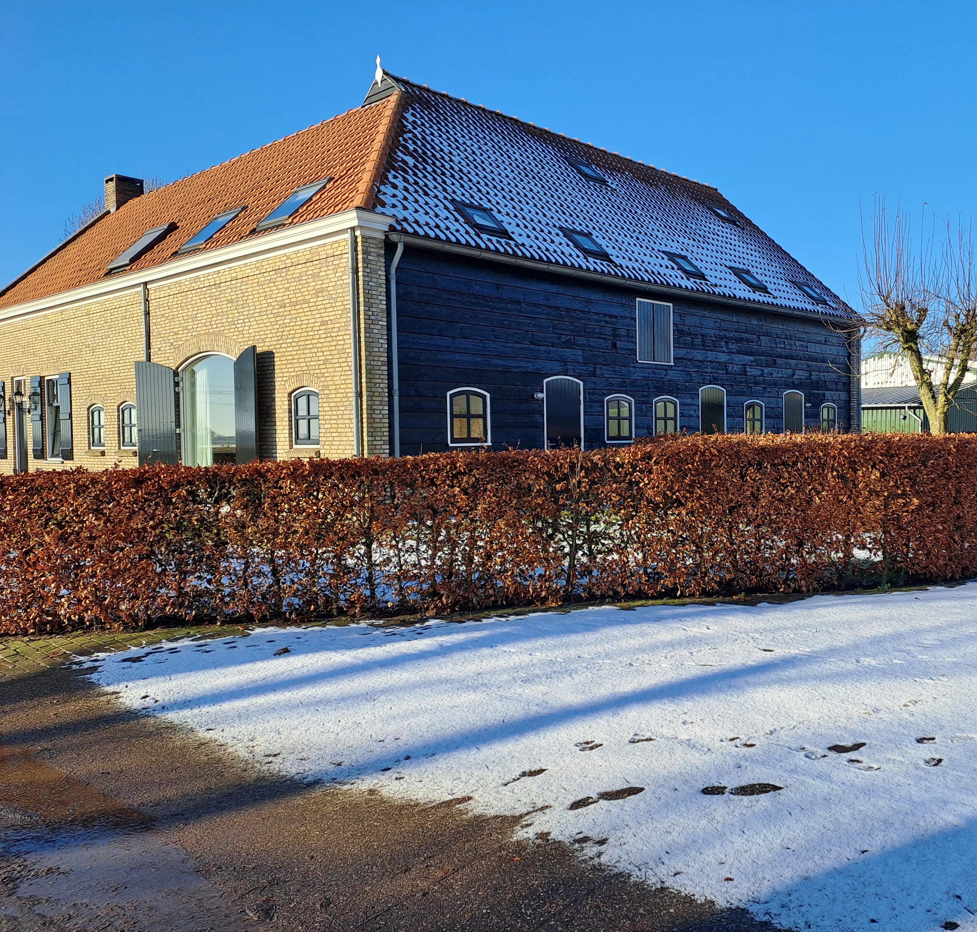 - image: 20