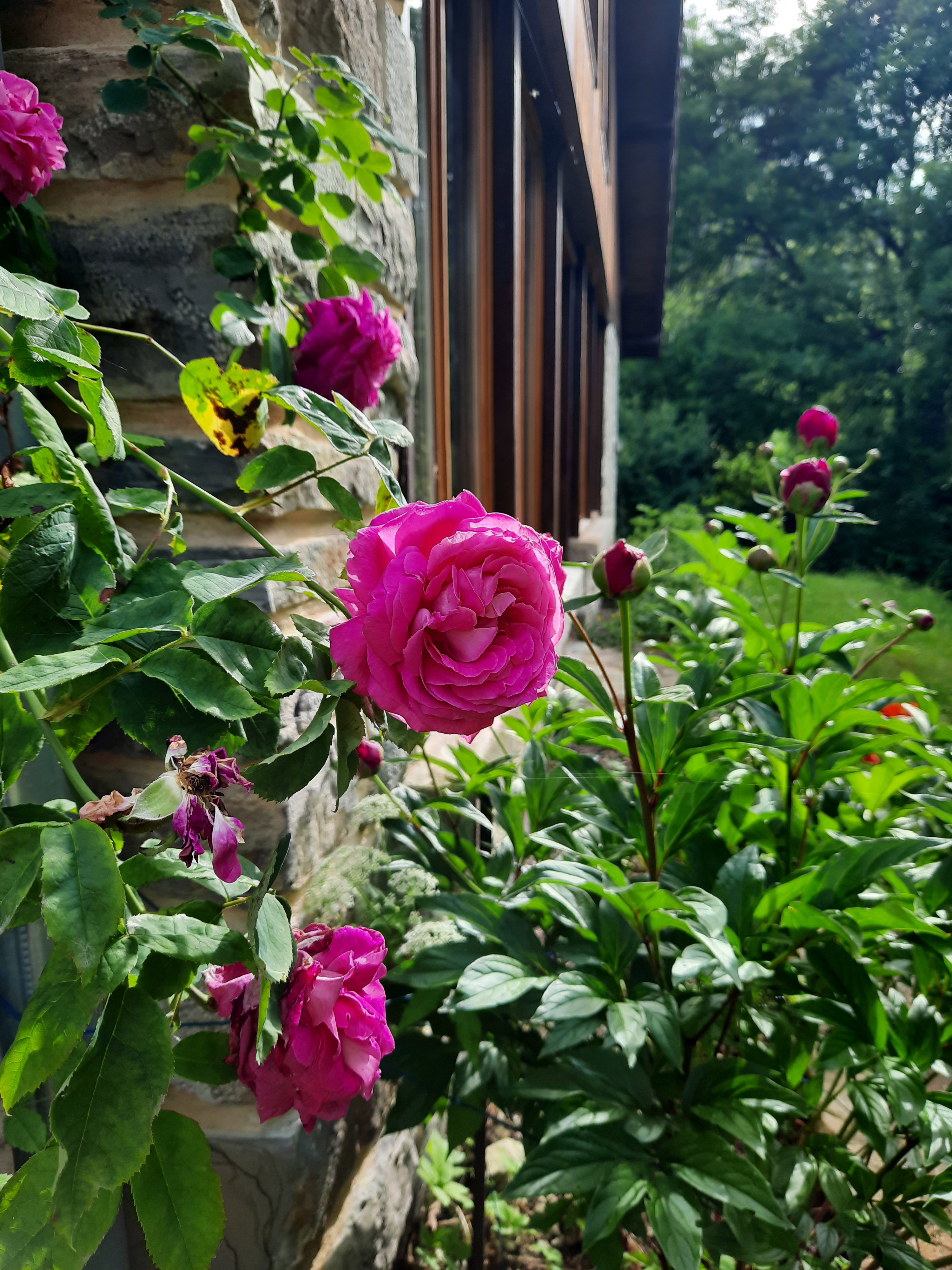 Casa nella natura a montjay
