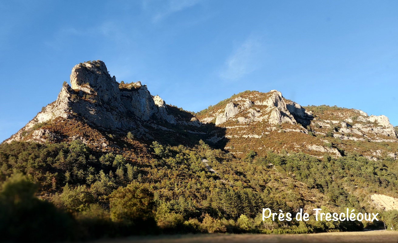 - image: 24