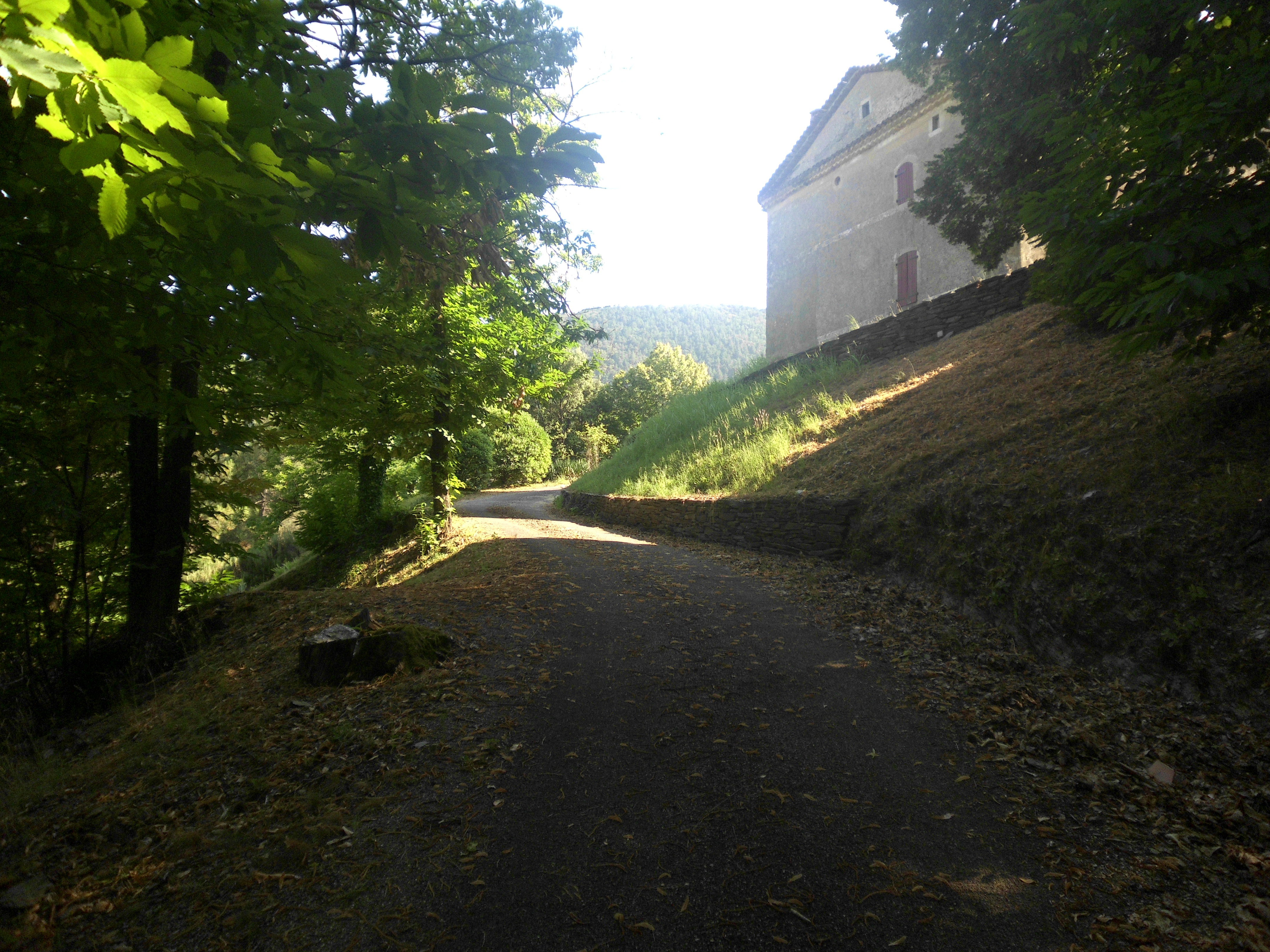 - image: 25