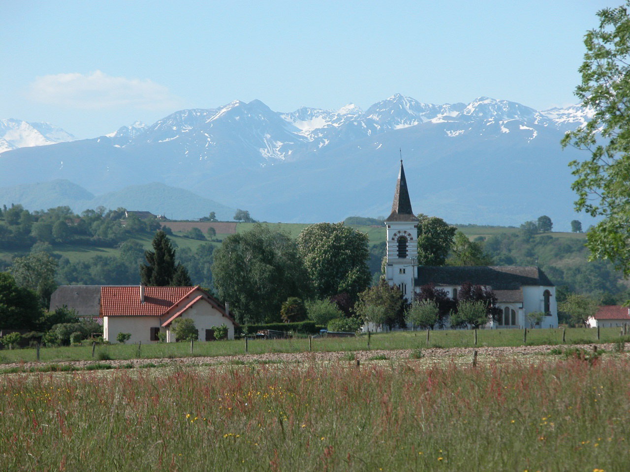 - image: 14