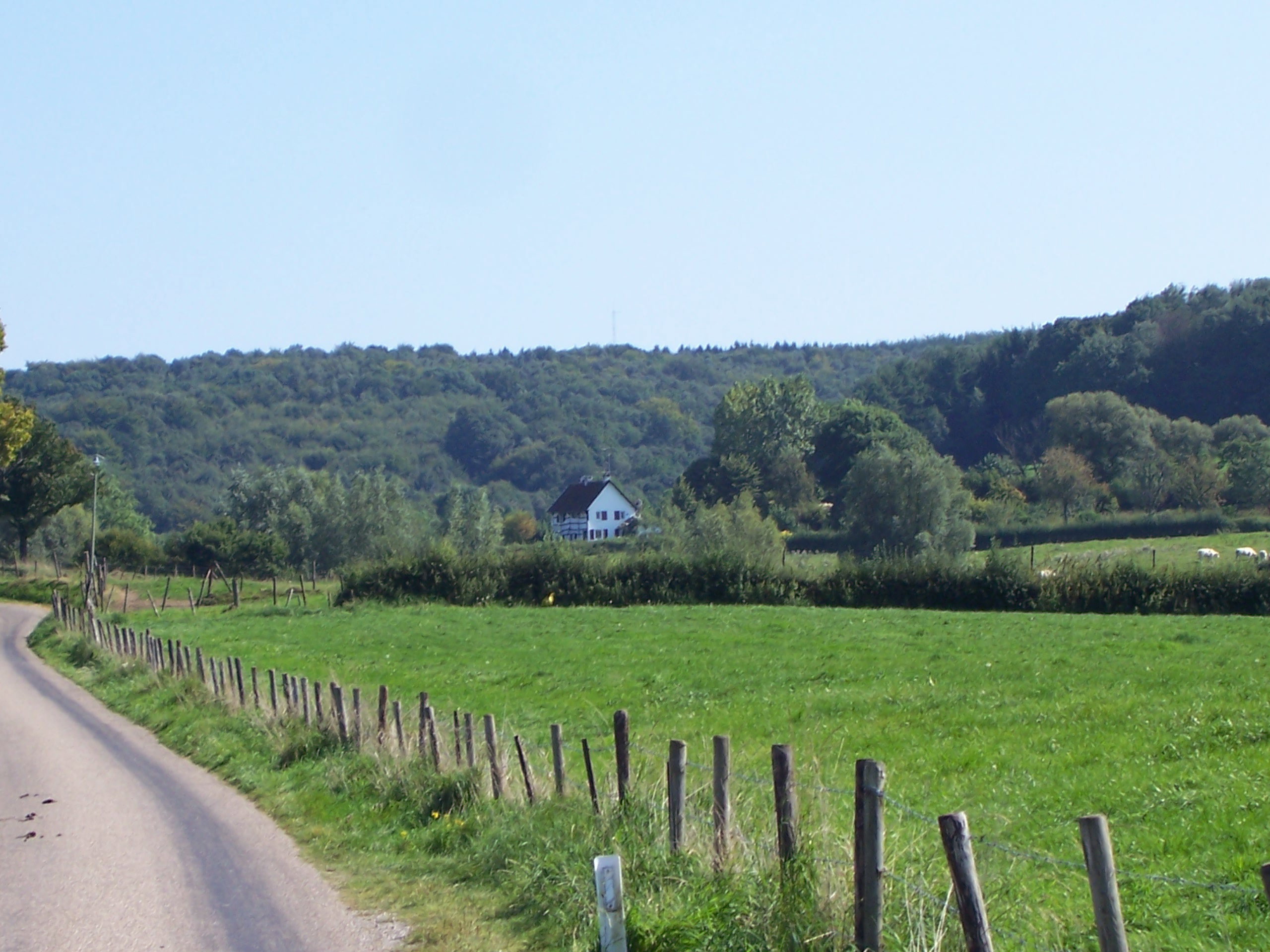 - image: 15