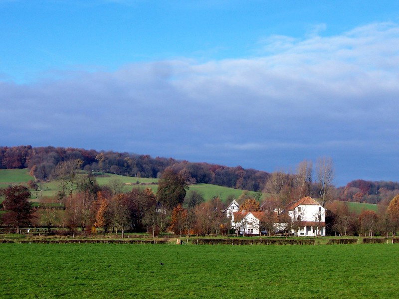 - image: 13
