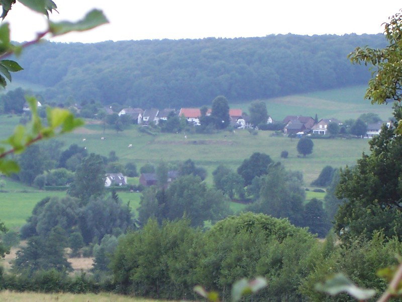 - image: 12