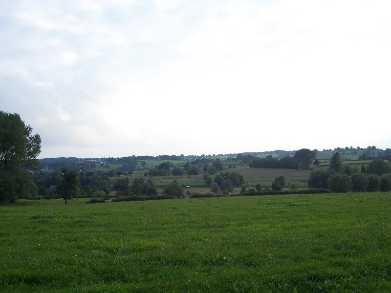- image: 14