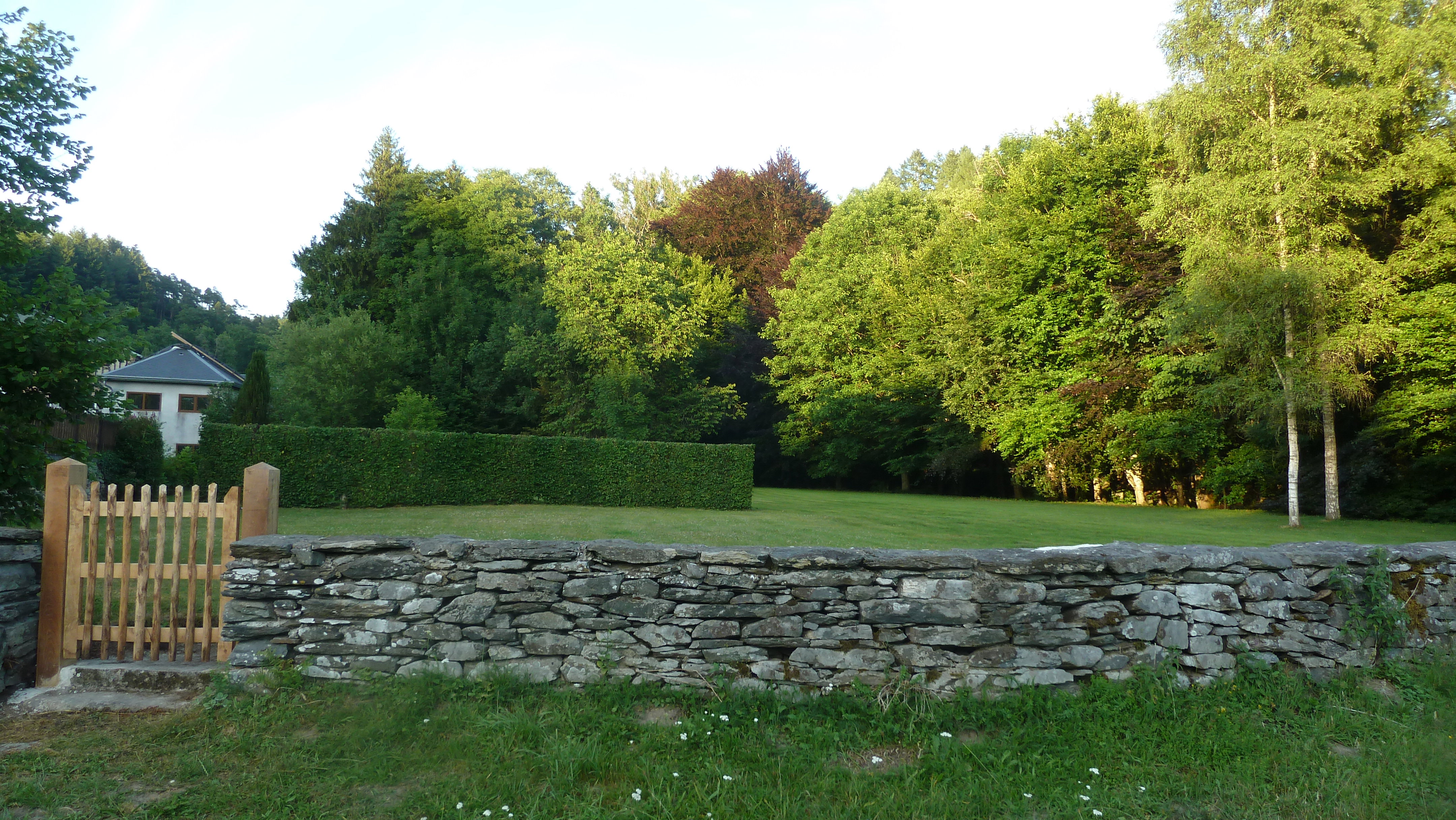 - image: 11