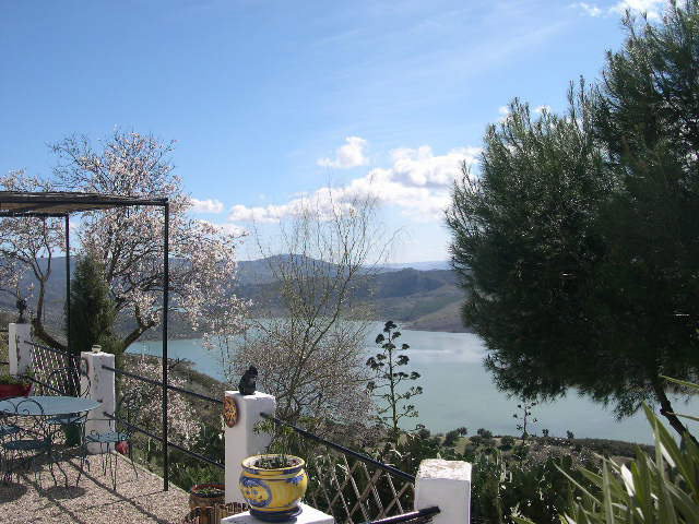 - image: 12