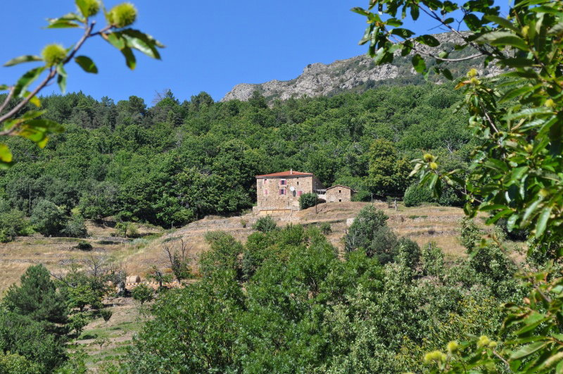 Natuurhuisje in Rocles