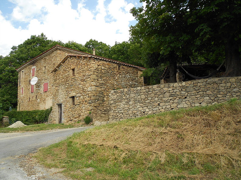 - image: 16