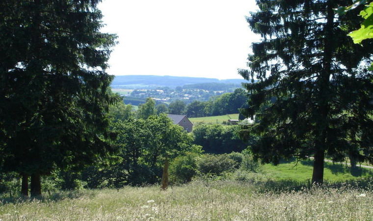 - image: 24