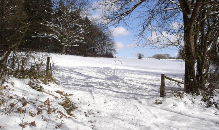 - image: 28