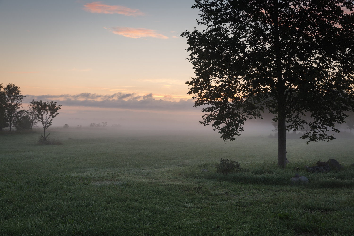 - image: 22
