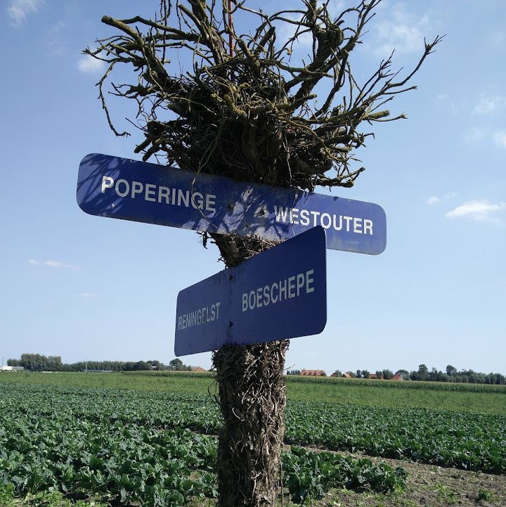- image: 19