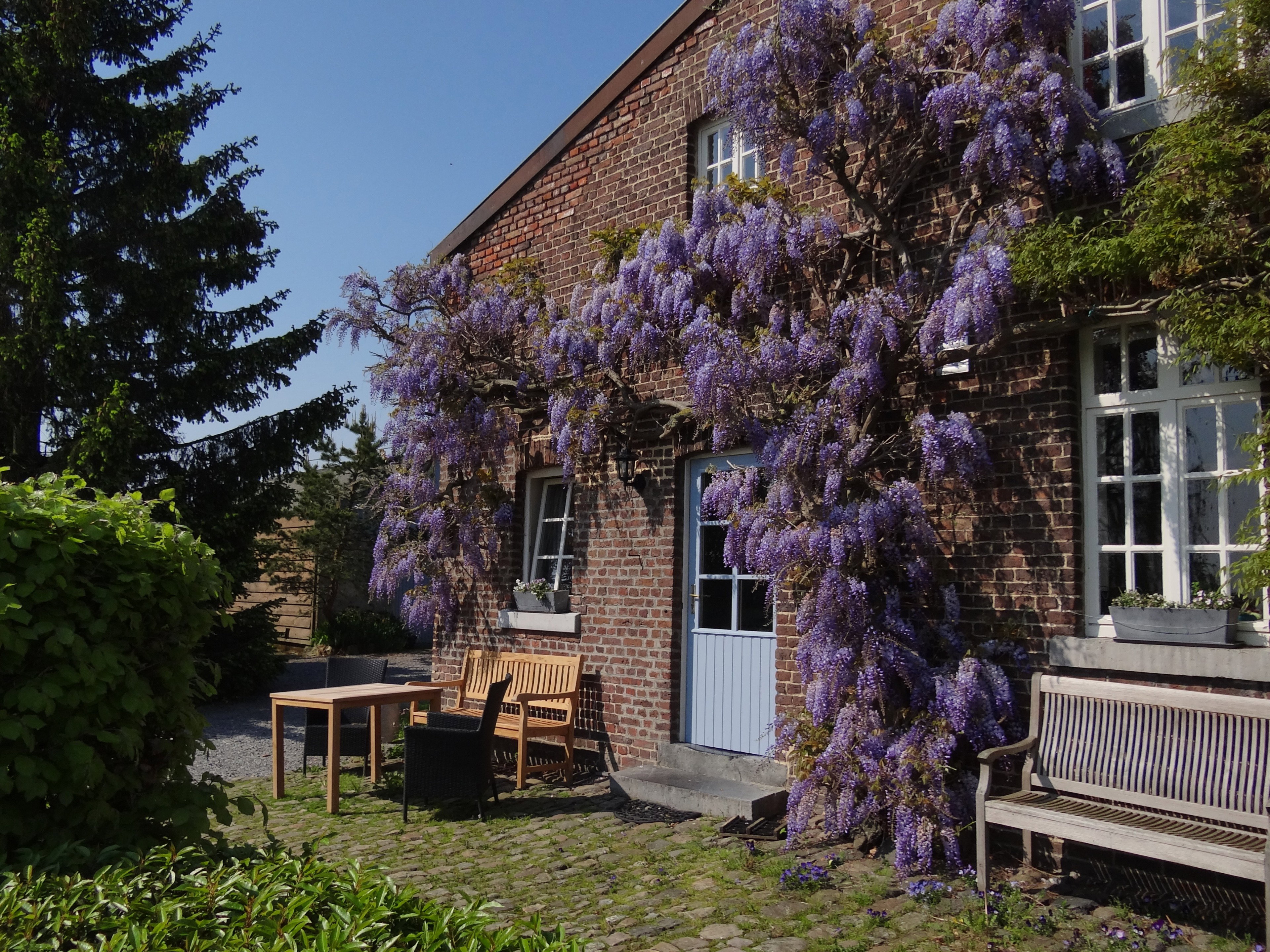 Naturhäuschen in Hombourg, Plombières