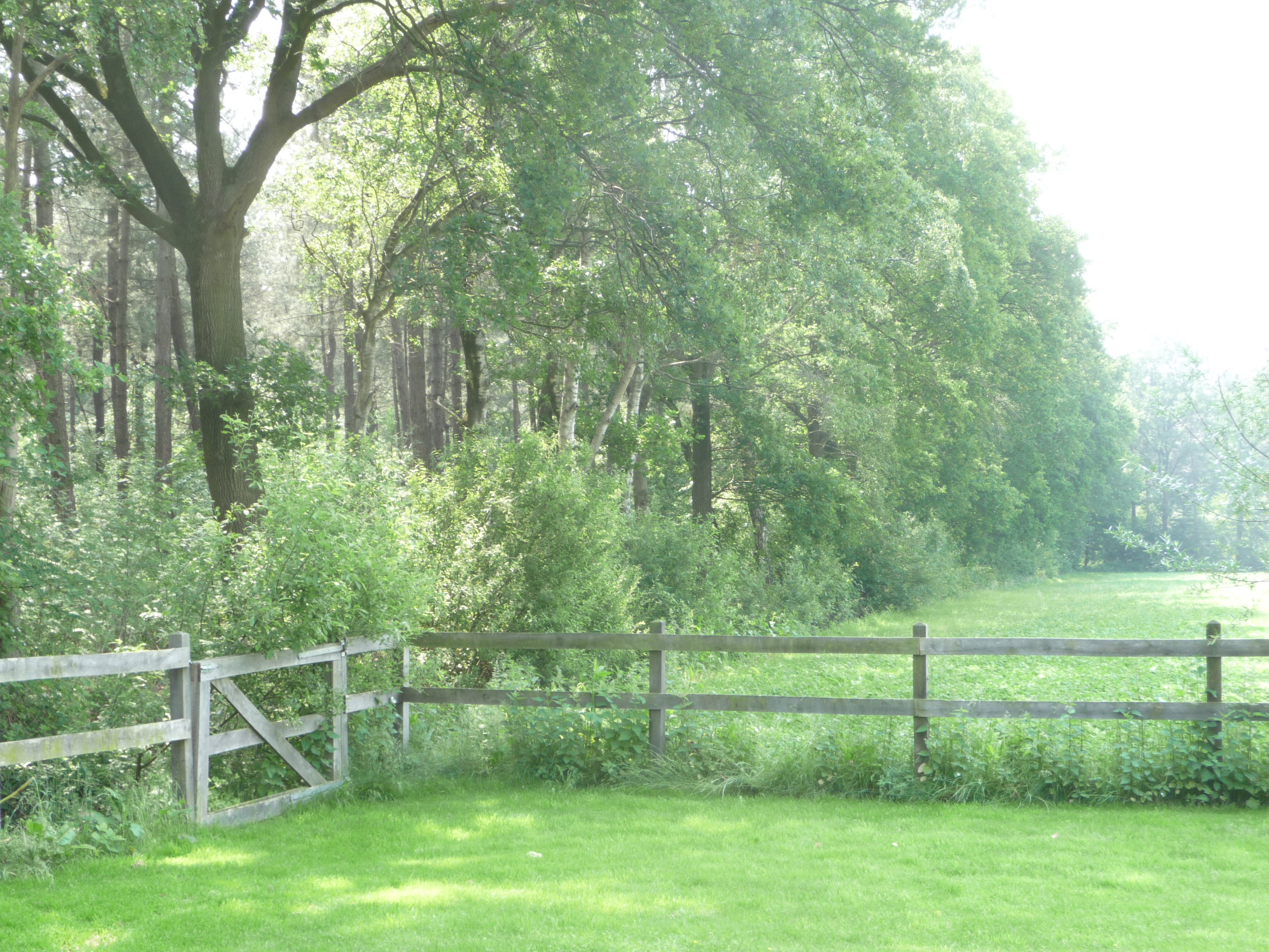Maison nature à Loosbroek