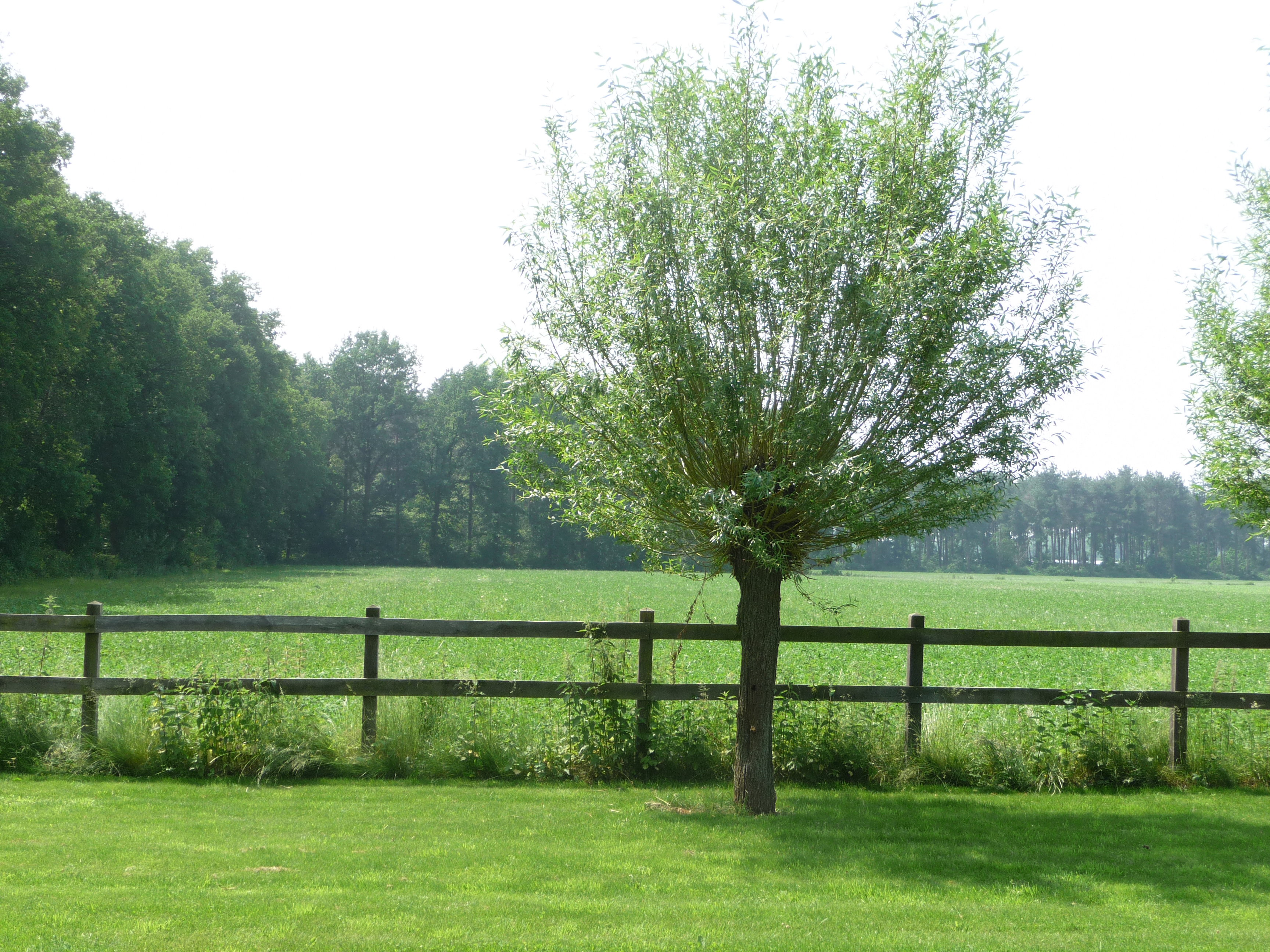 Maison nature à Loosbroek