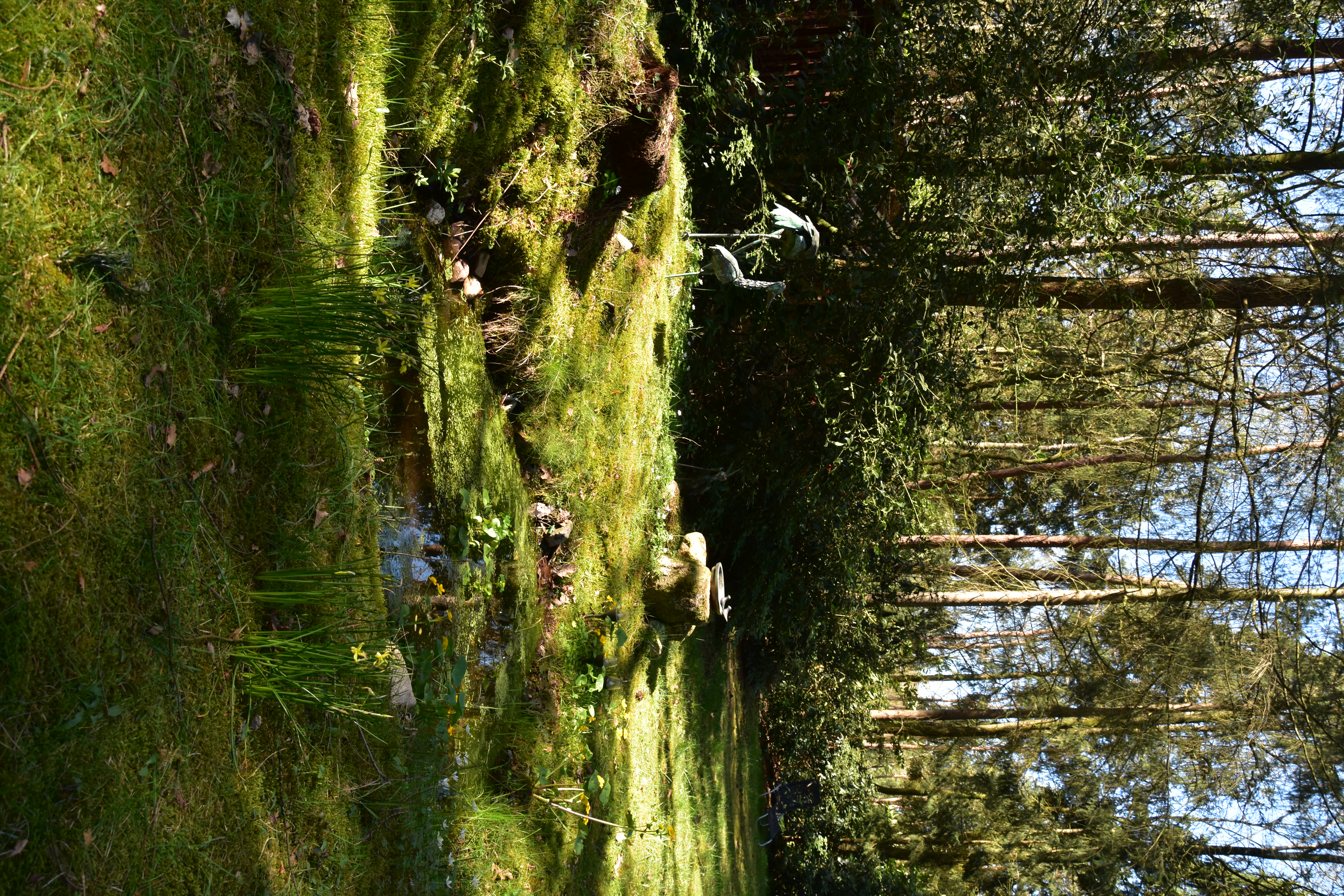 - image: 20