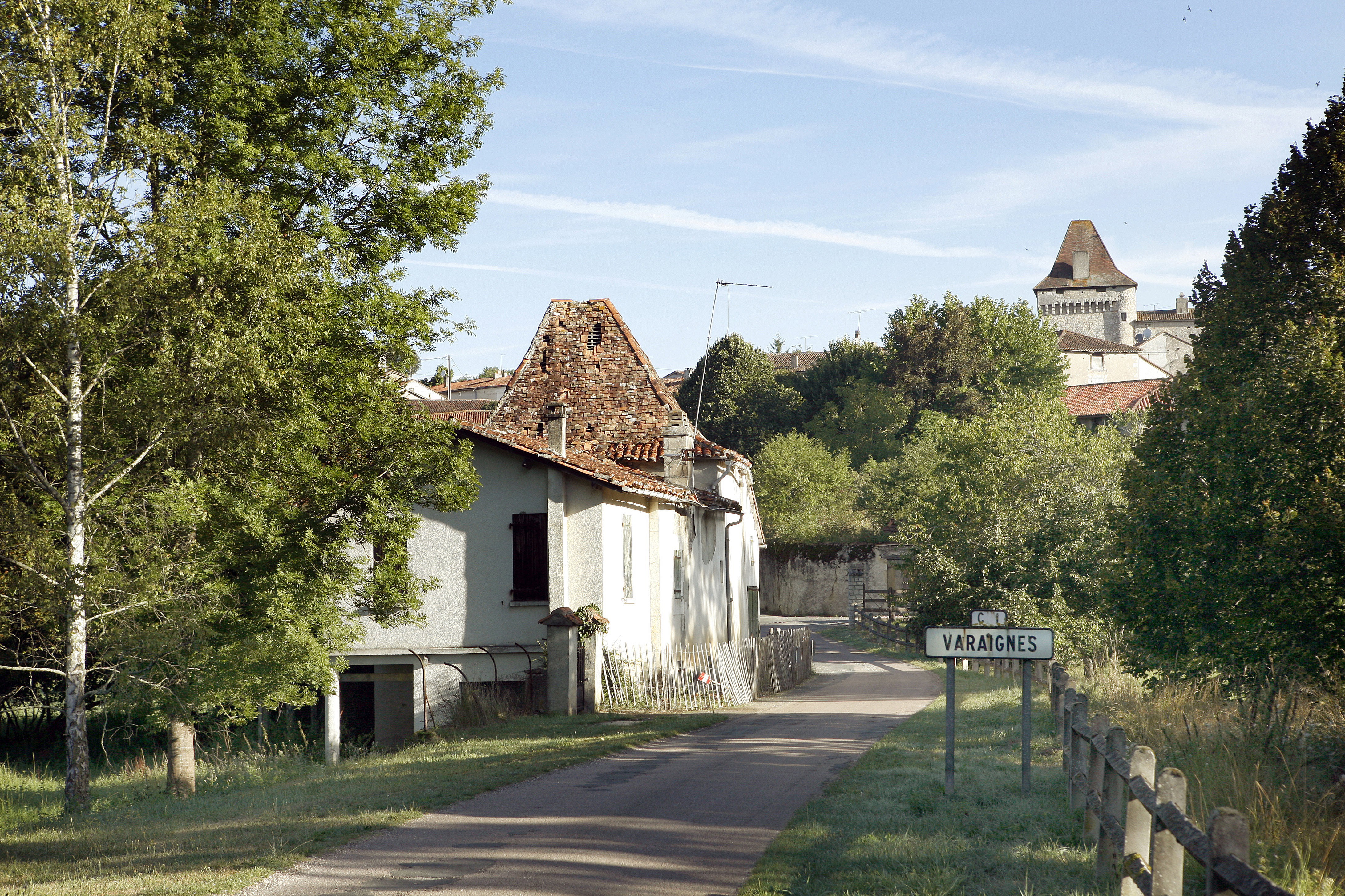 - image: 20