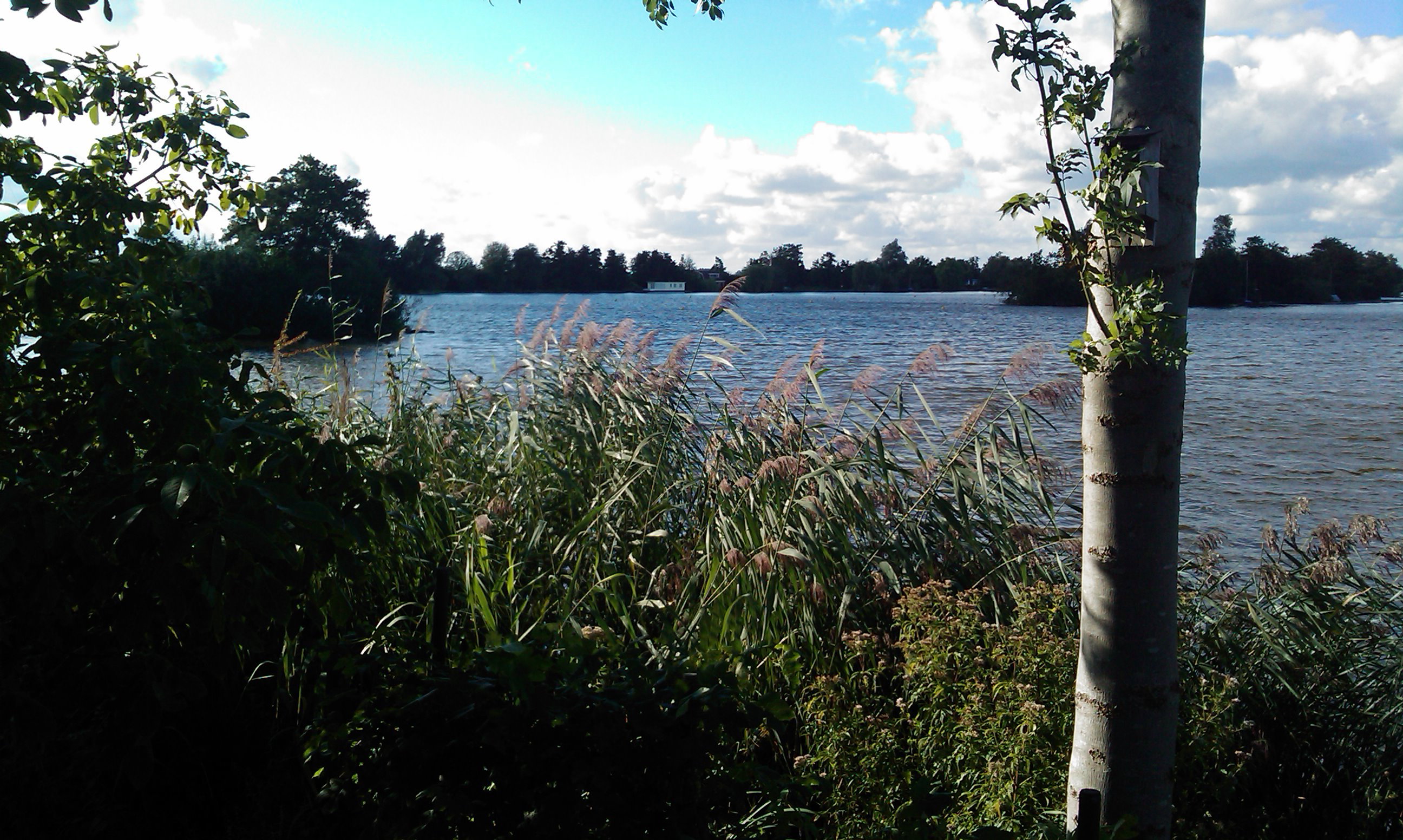 Natuurhuisje in Reeuwijk