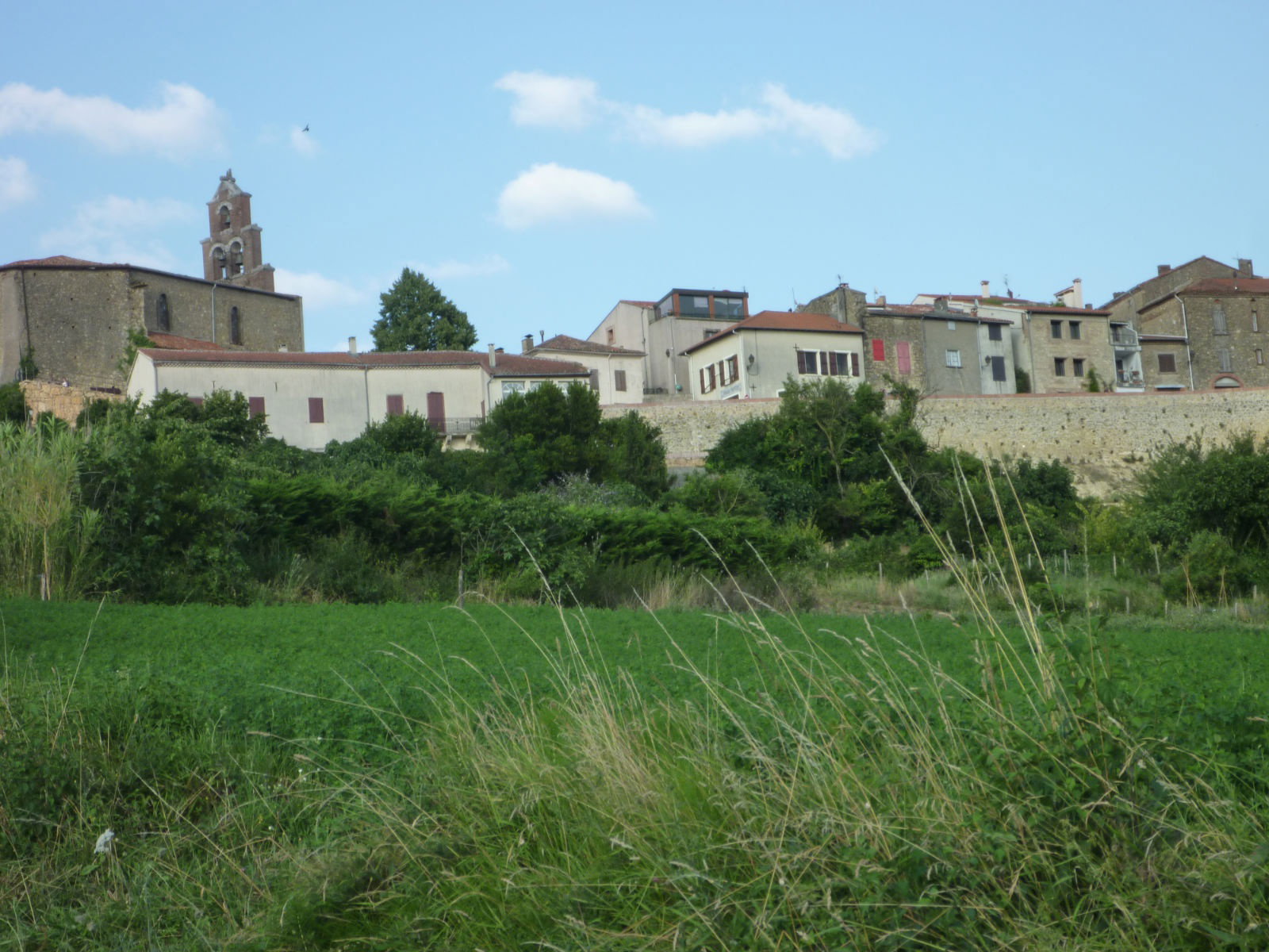 - image: 26