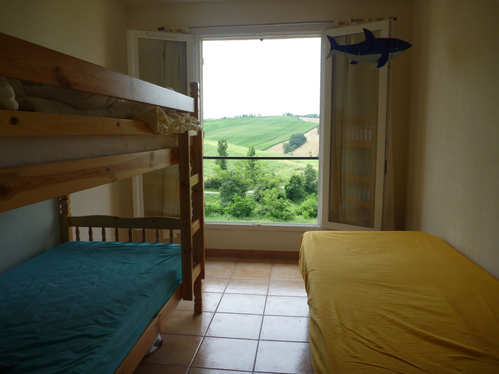 - image: 12