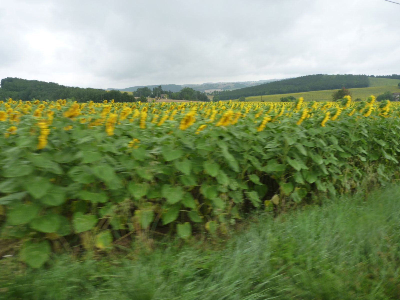- image: 27