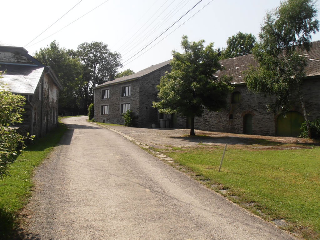 - image: 2