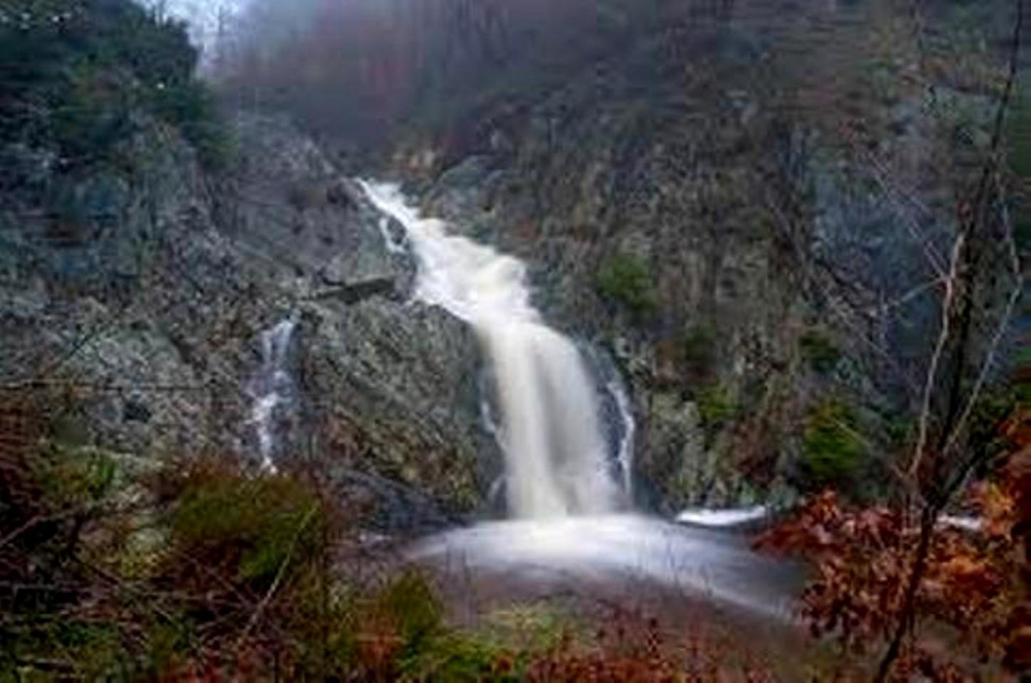 - image: 28