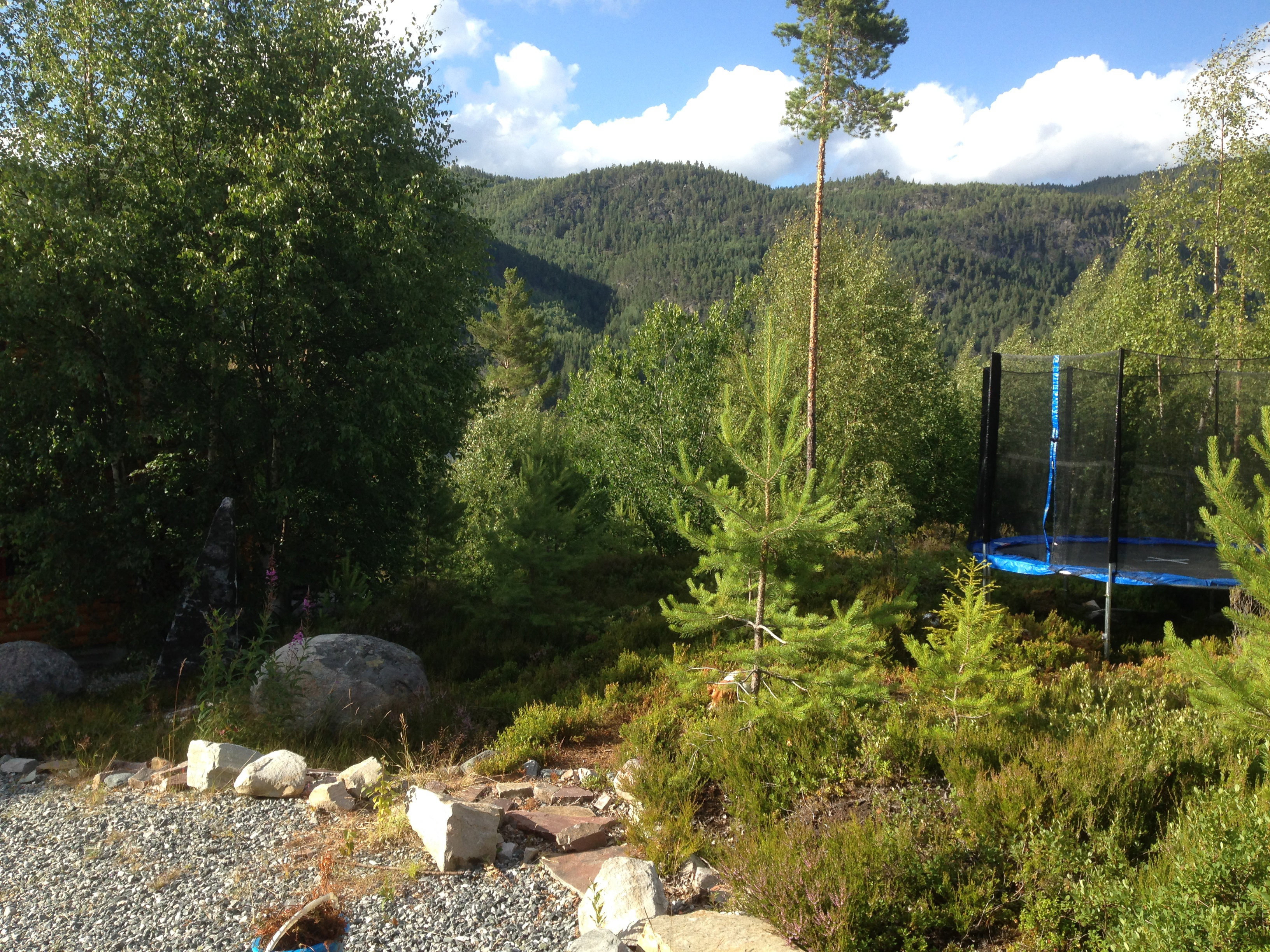Maison nature à Vråliosen - Vrådal