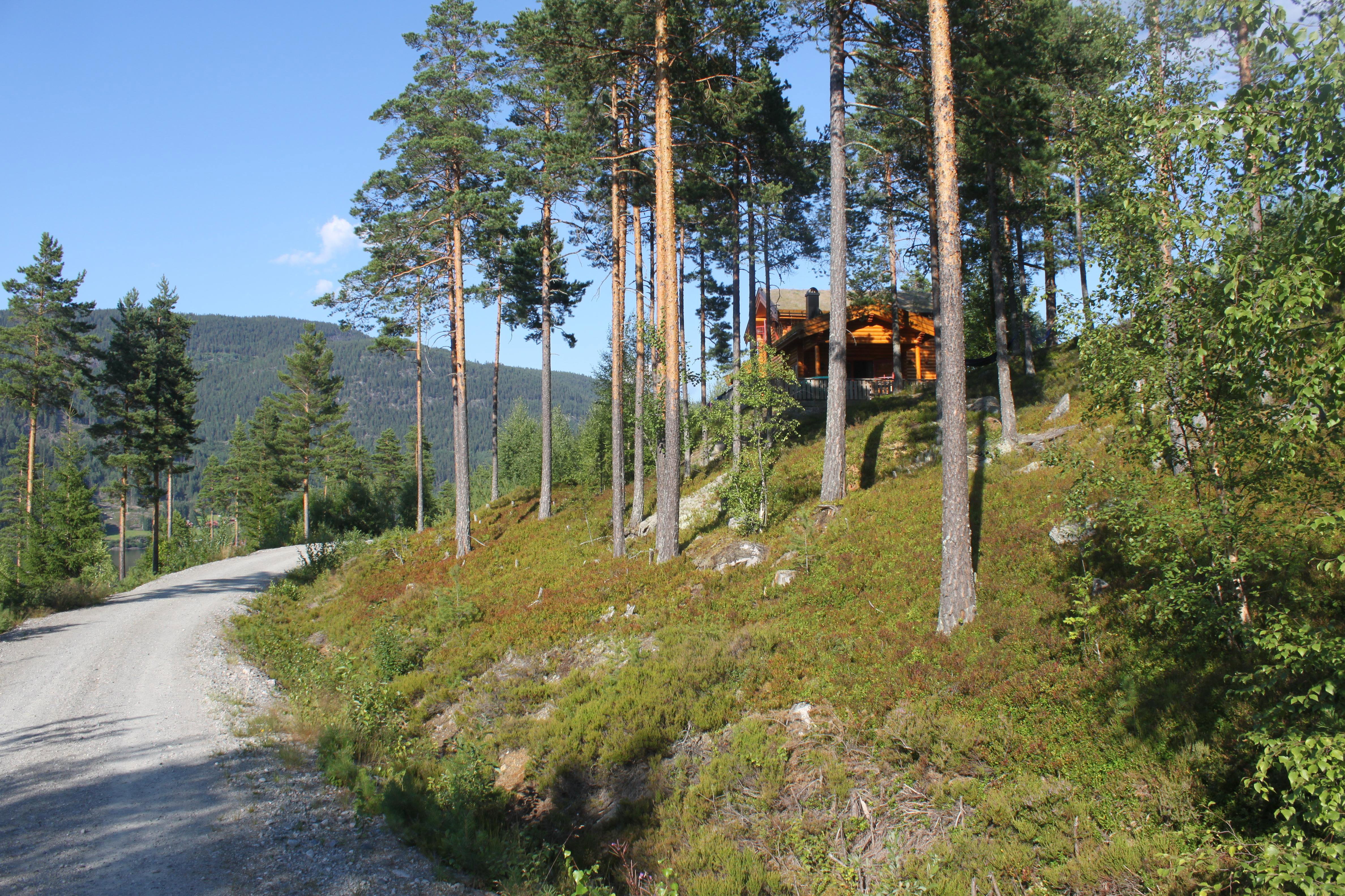 Maison nature à Vråliosen - Vrådal