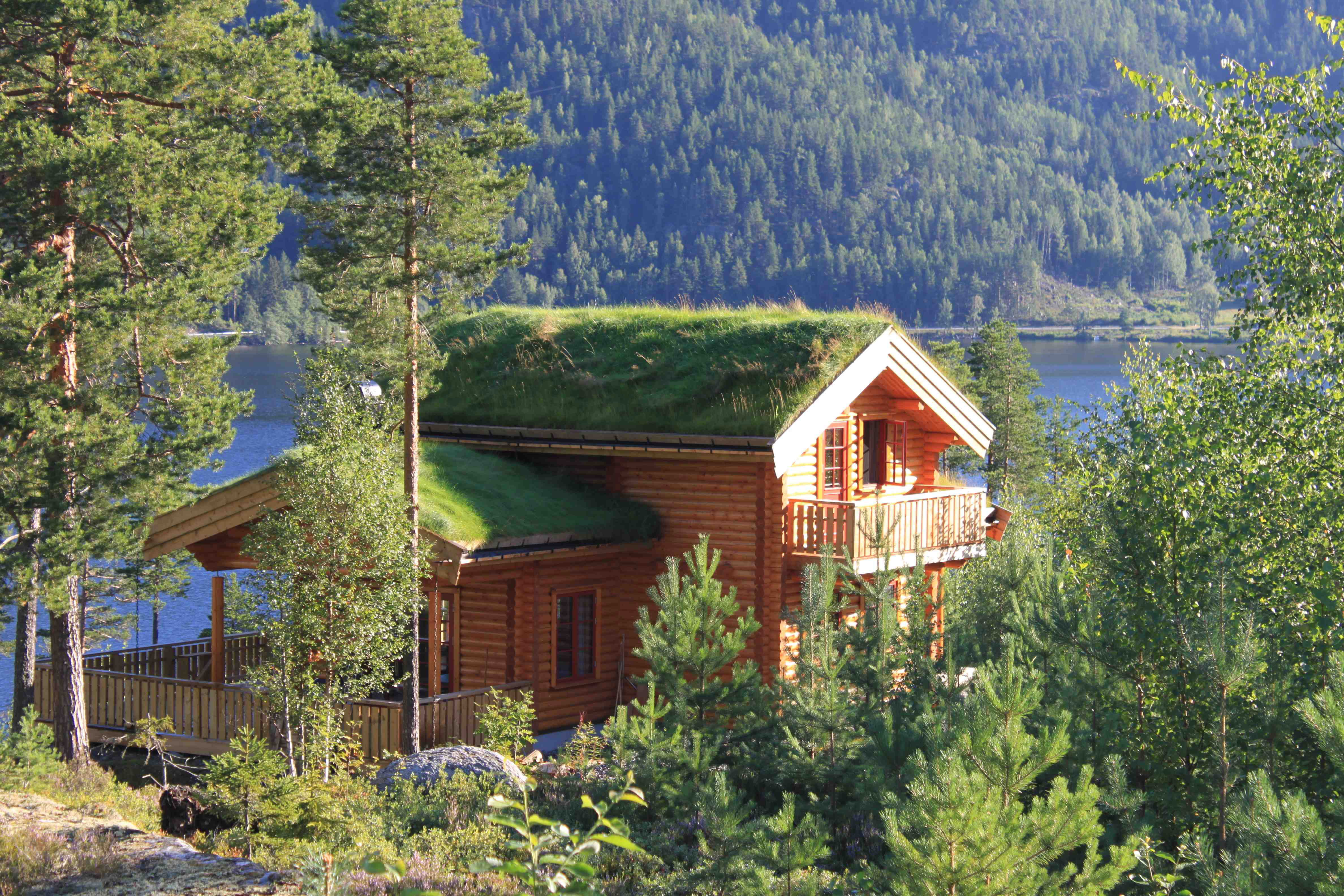 Maison nature à Vråliosen - Vrådal