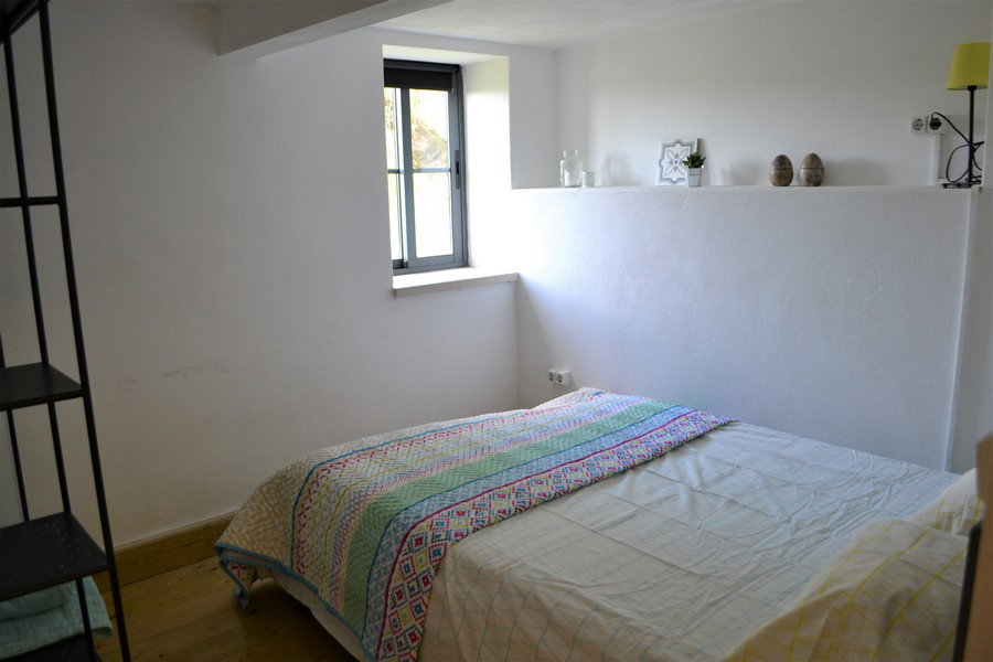 - image: 12