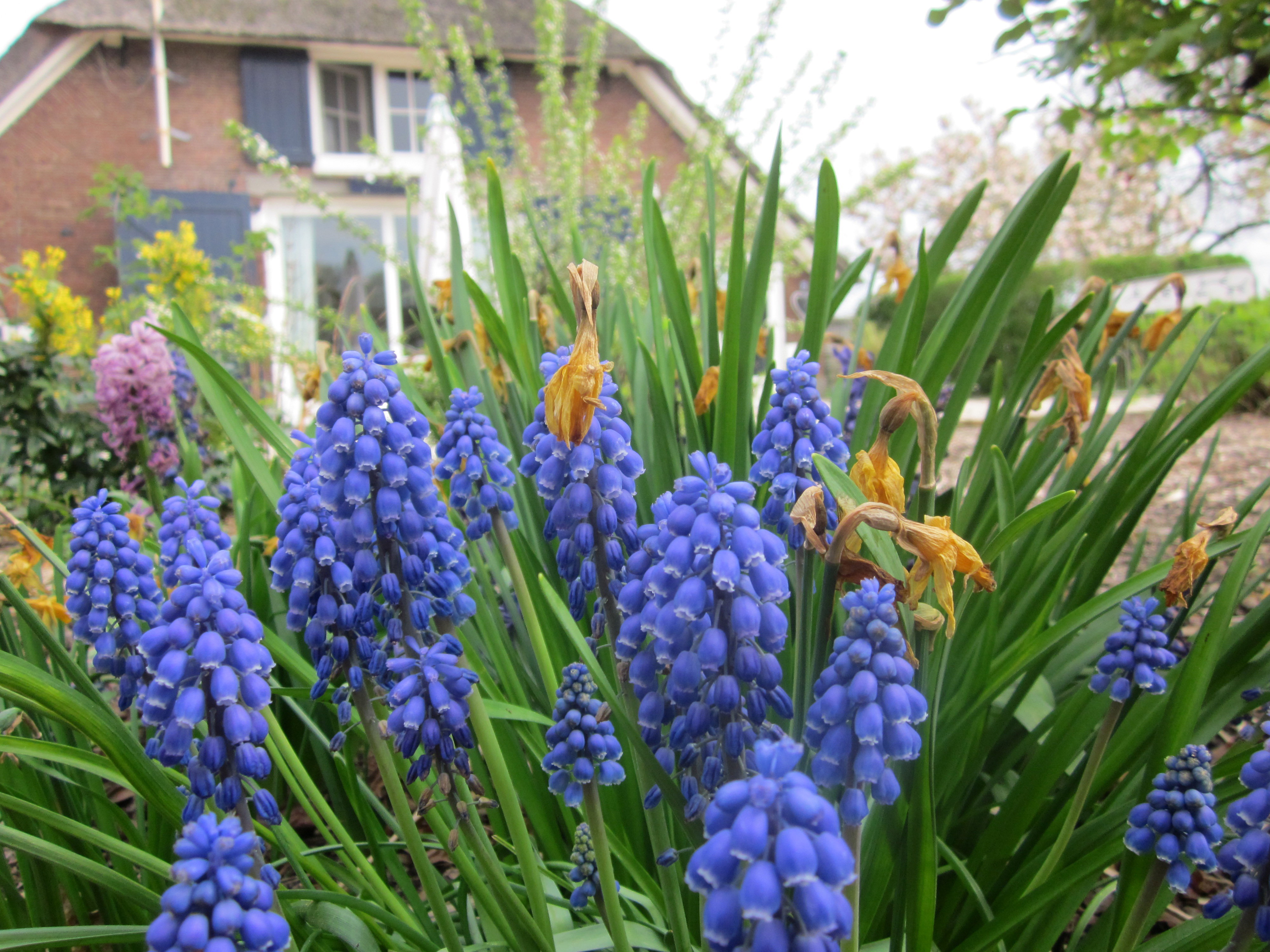 Naturhäuschen in Heerde