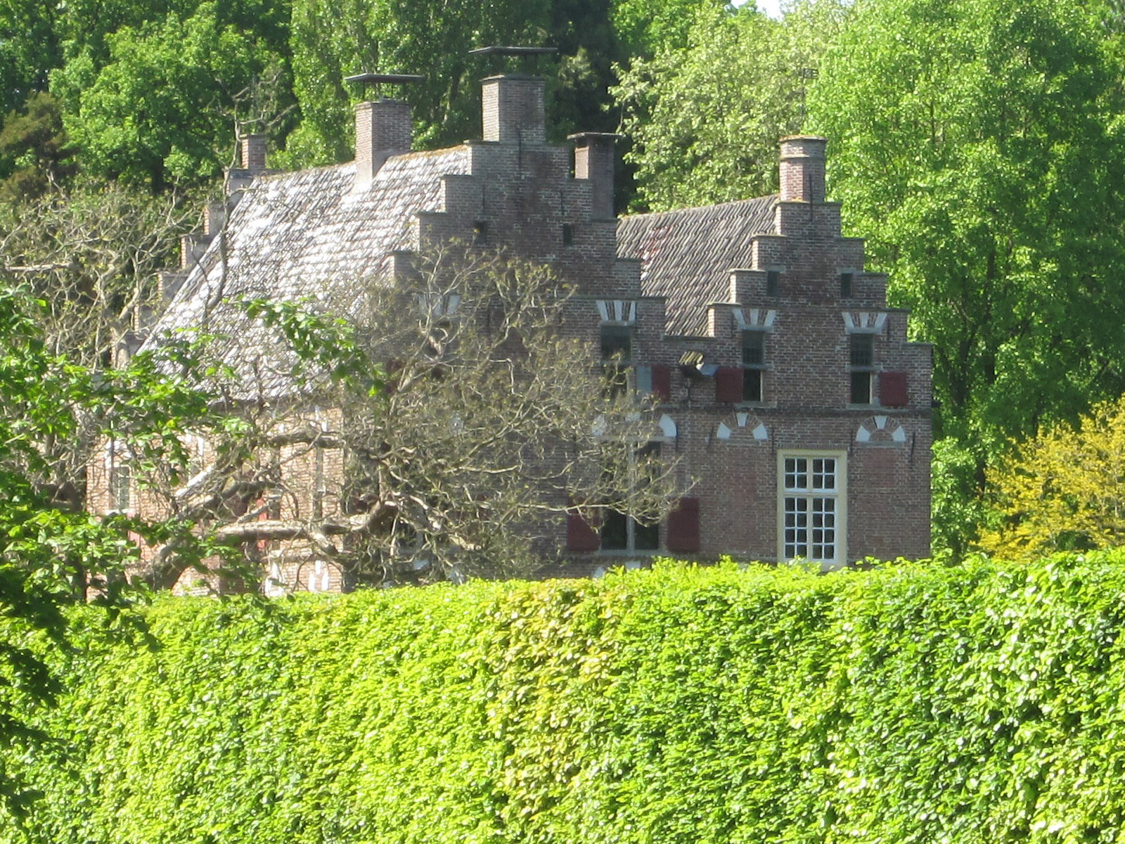 - image: 24