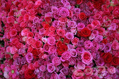 - image: 24