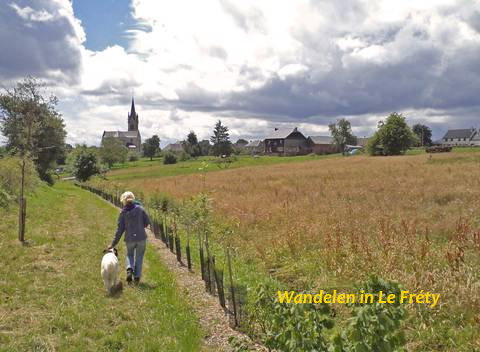 - image: 20