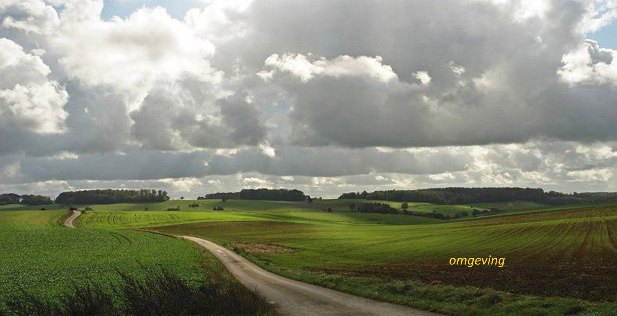 - image: 26