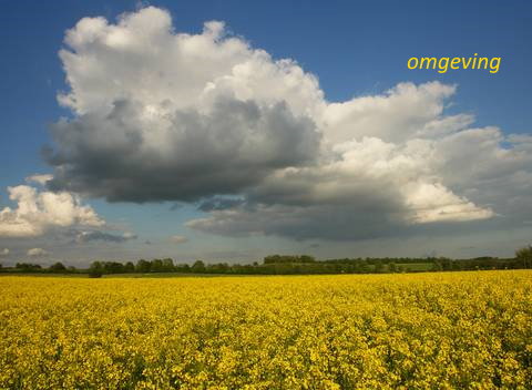 - image: 24