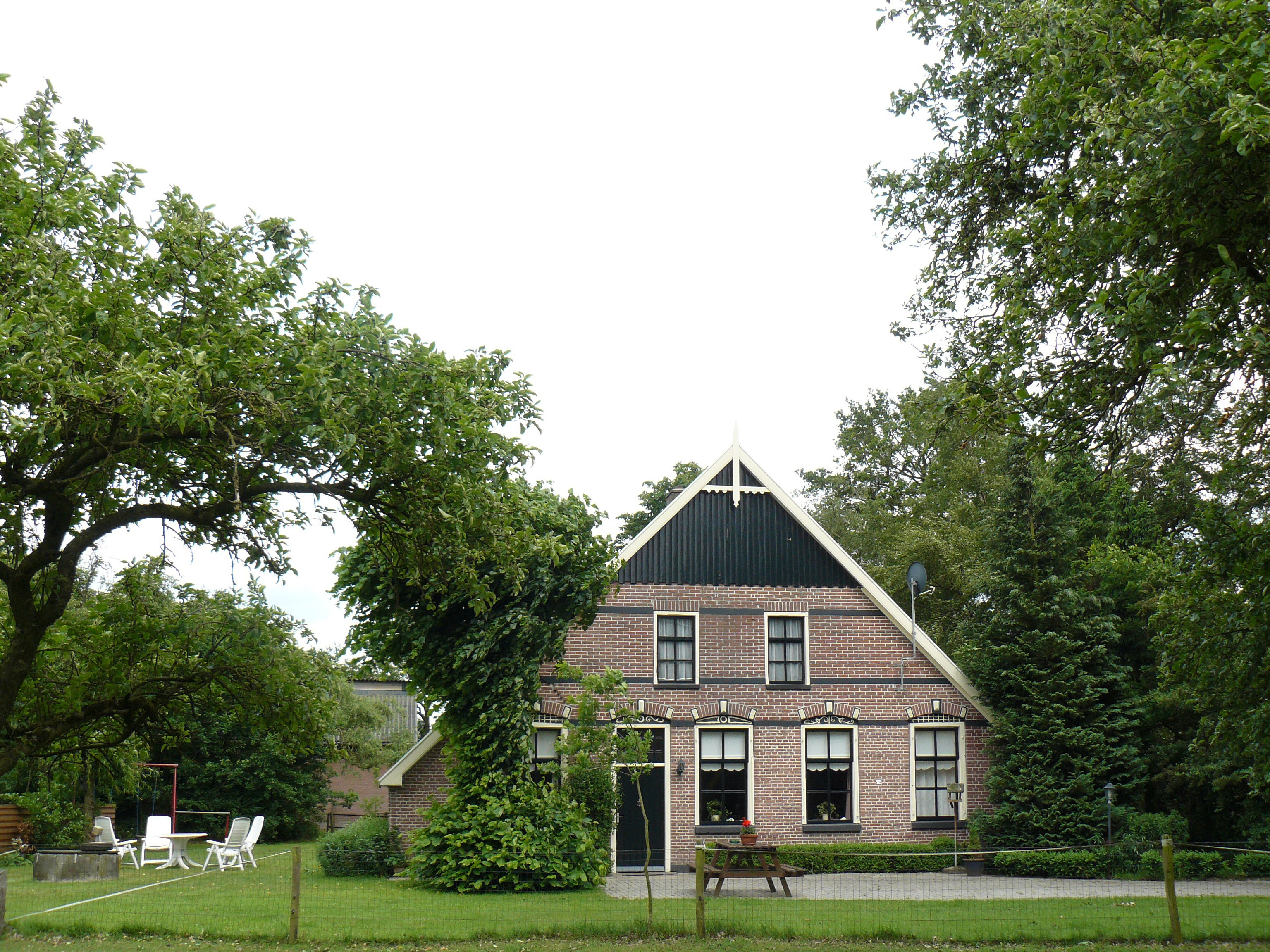 - image: 2