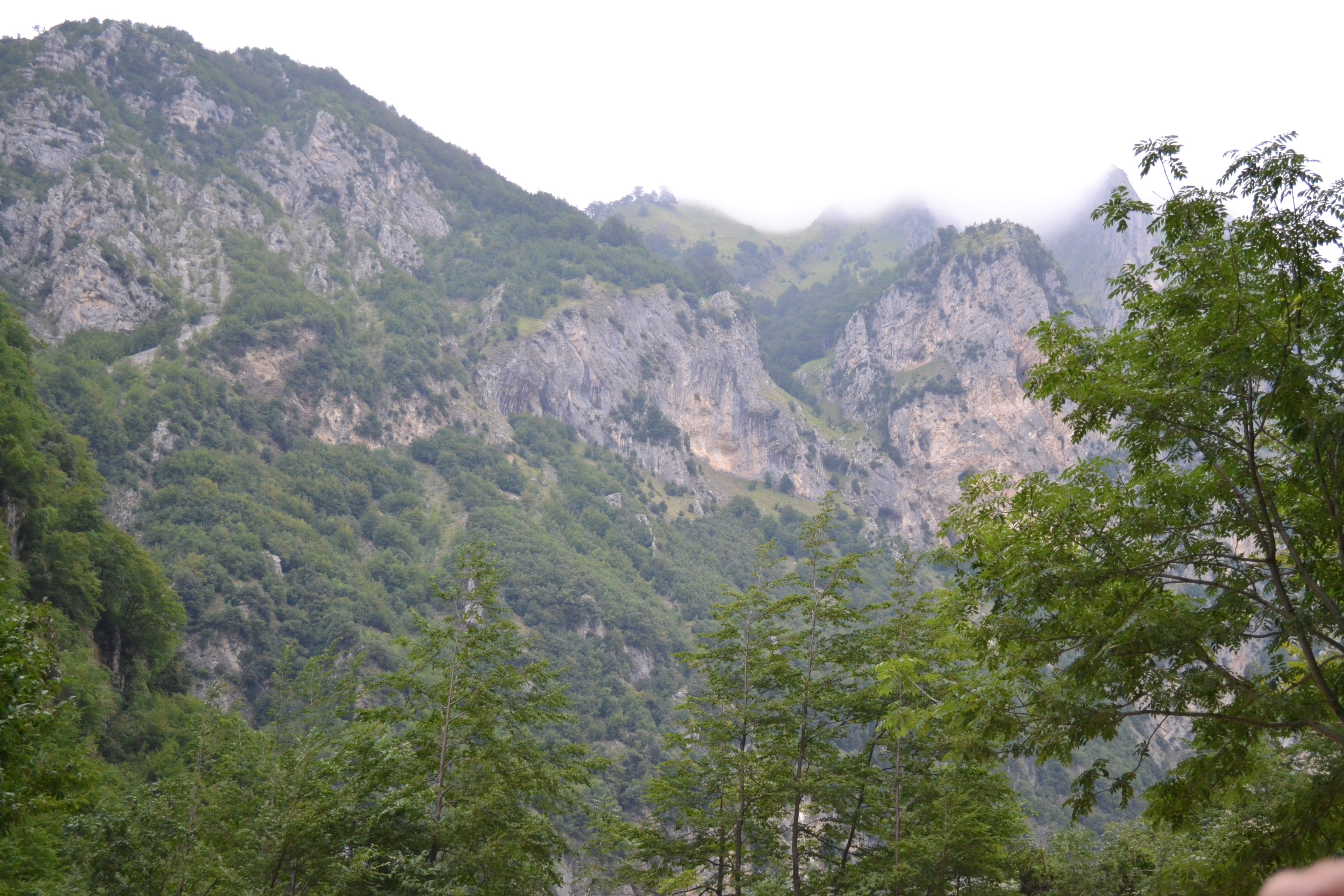 - image: 26