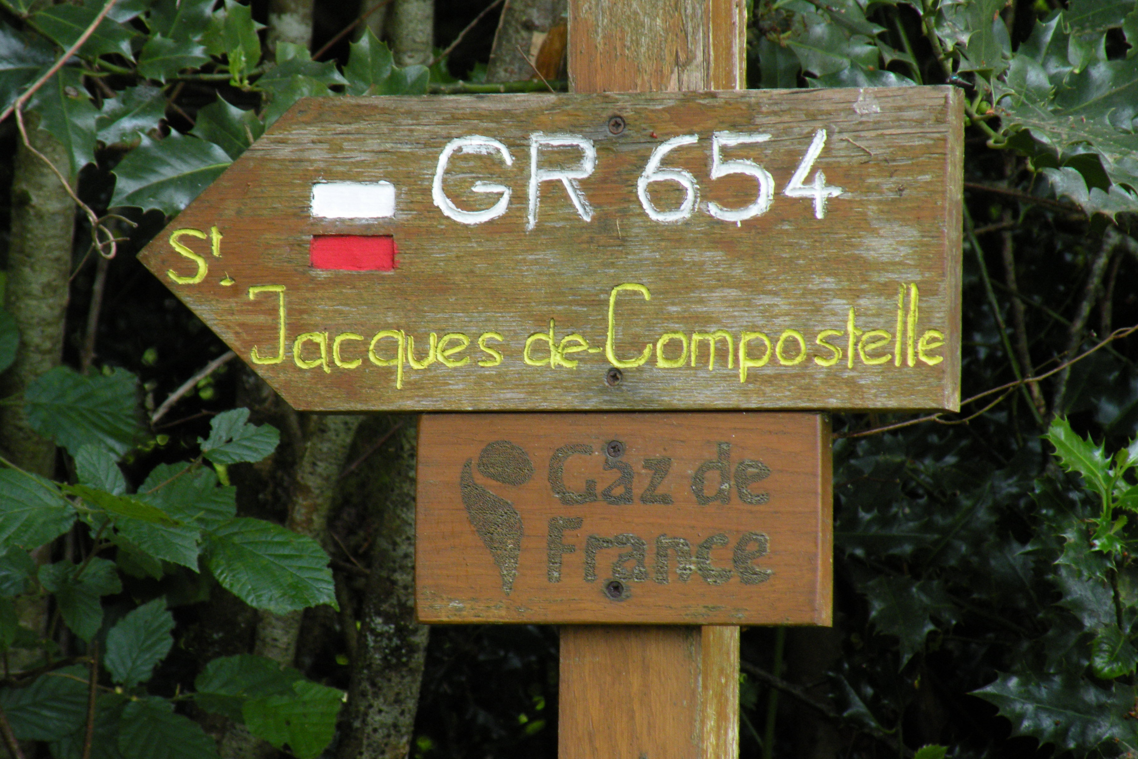 - image: 23