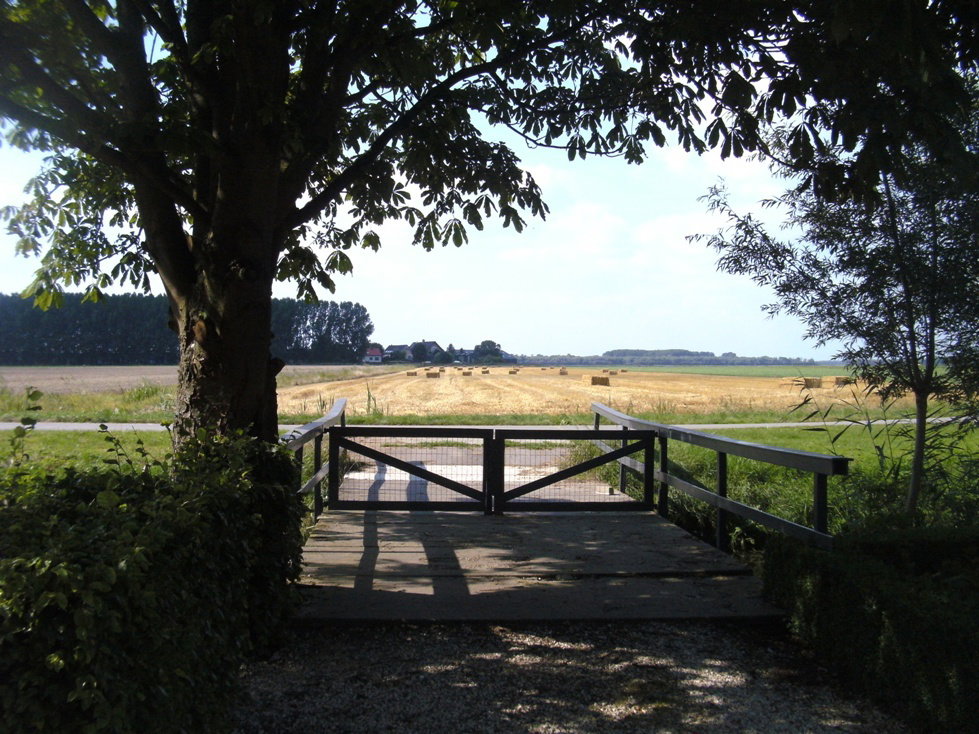 - image: 27