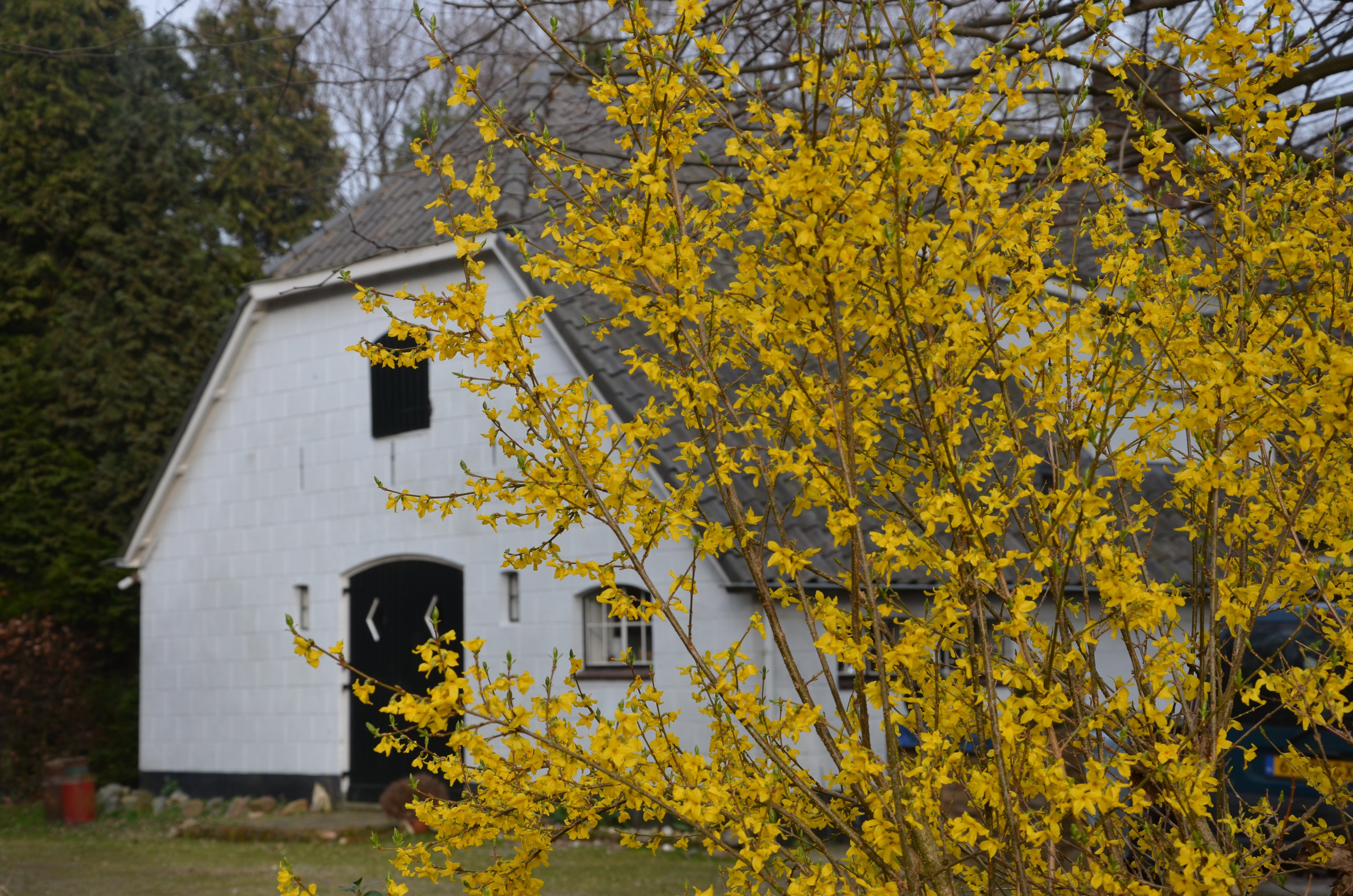 Maison nature à Loerbeek